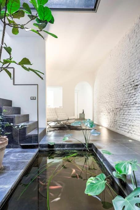 Elegante Duplex Centro Sevilla Matahacas 1 מראה חיצוני תמונה